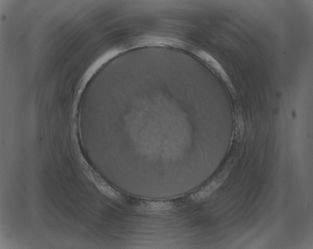 X0000087411427200705181346