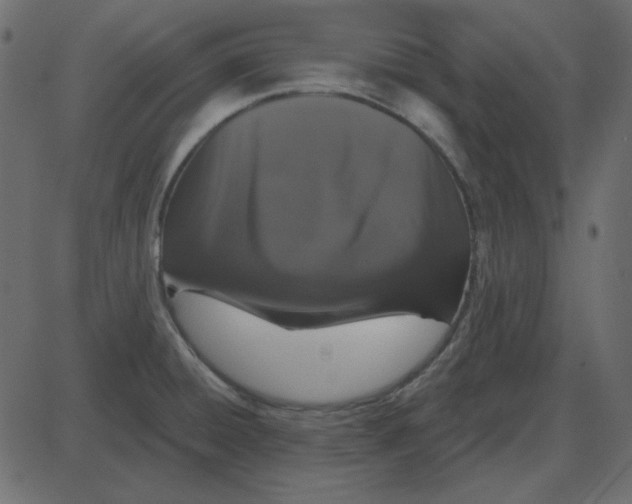 X0000087411428200705181346