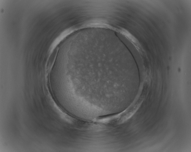 X0000087411430200705181346