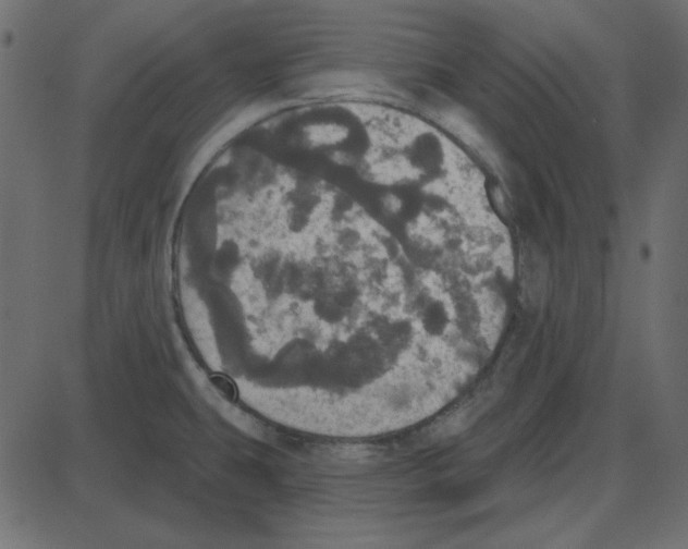 X0000087411431200705181346