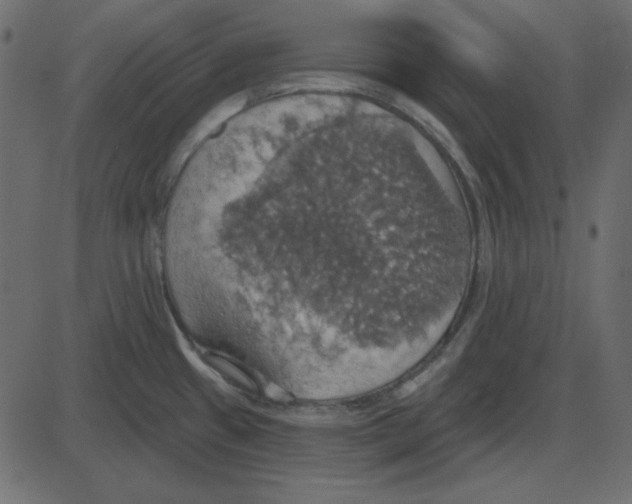 X0000087411433200705181346