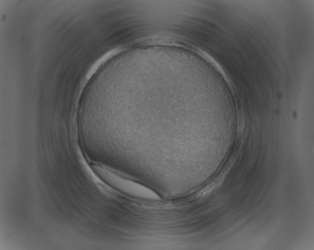 X0000087411434200705181346