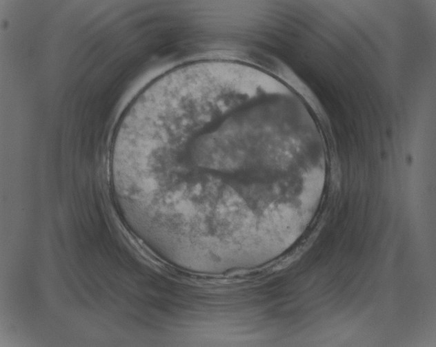 X0000087411436200705181346