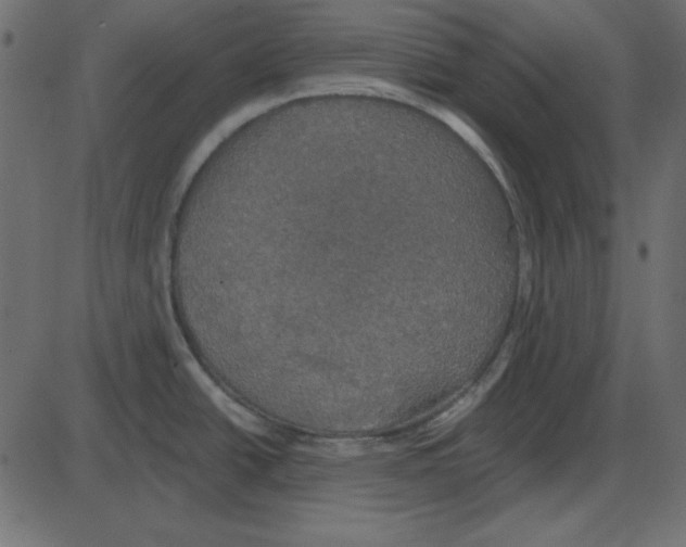 X0000087411438200705181346