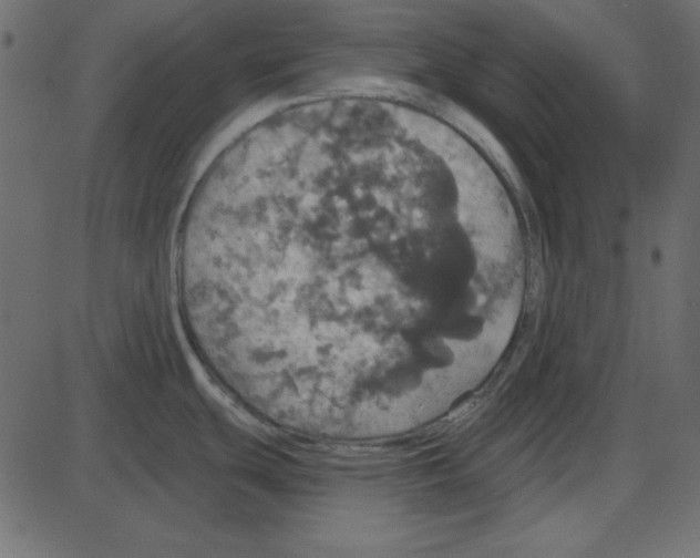 X0000087411439200705181346