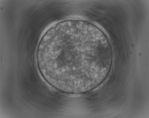 X0000087411440200705181346