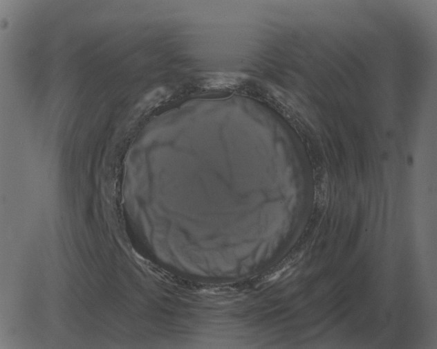 X0000087411441200705181346