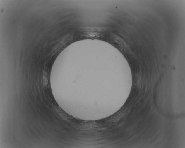 X0000087411442200705181346