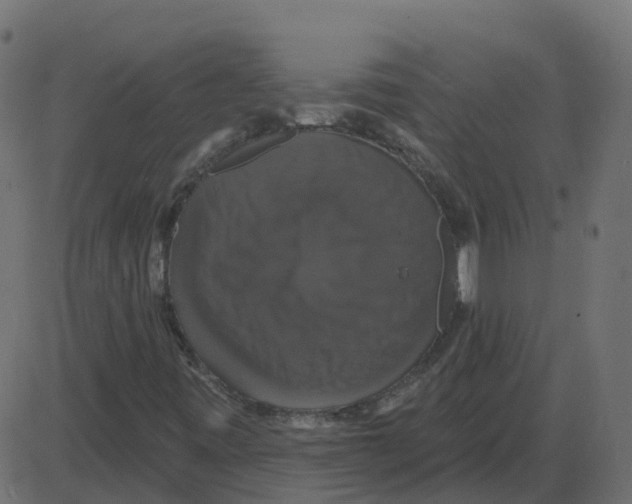 X0000087411443200705181345