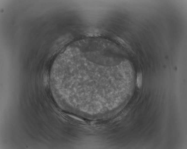 X0000087411444200705181345