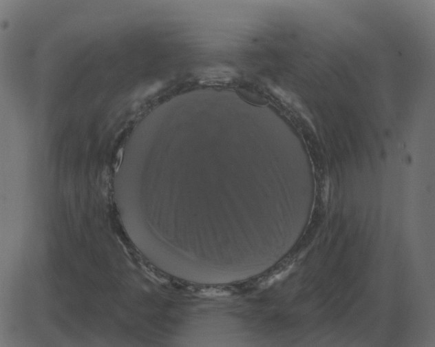 X0000087411445200705181345