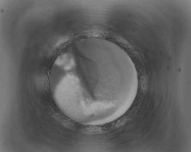 X0000087411446200705181345