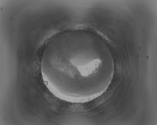 X0000087411447200705181345