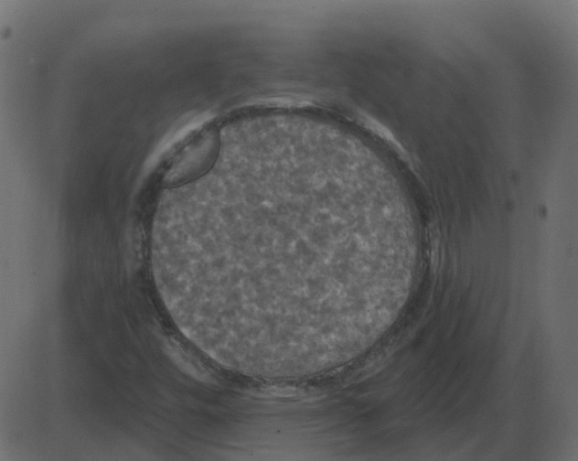 X0000087411448200705181345