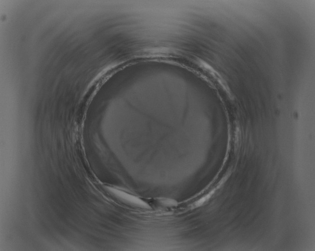 X0000087411449200705181345