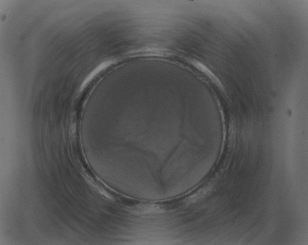 X0000087411450200705181345