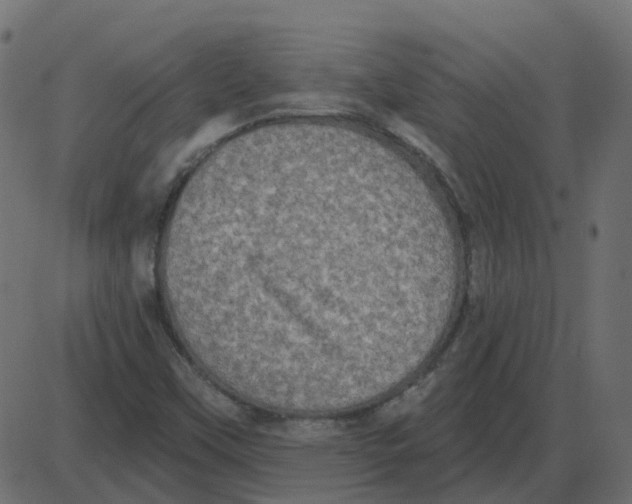 X0000087411451200705181345