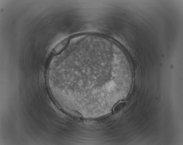 X0000087411452200705181345