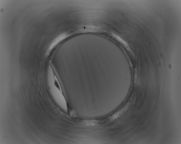 X0000087411453200705181345