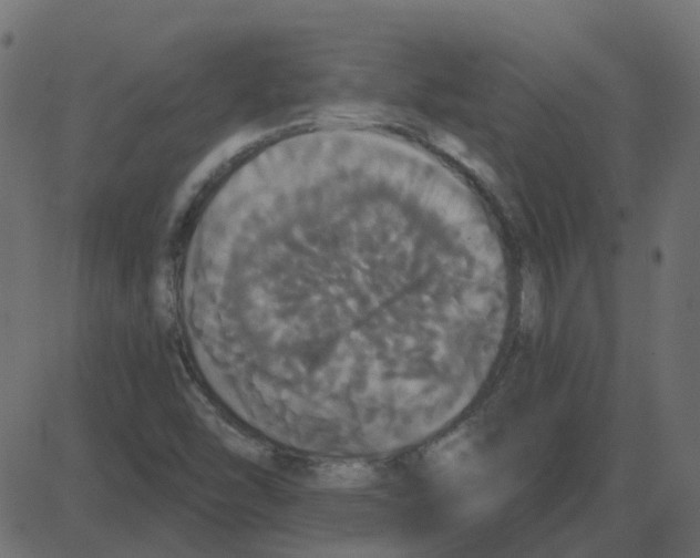 X0000087411454200705181345