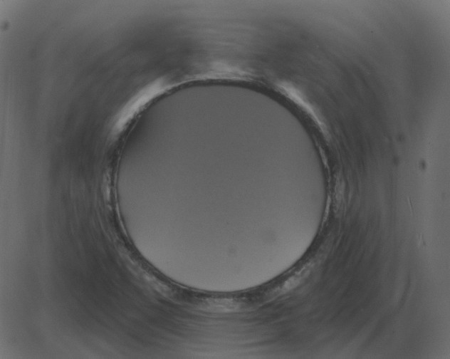 X0000087411455200705181345