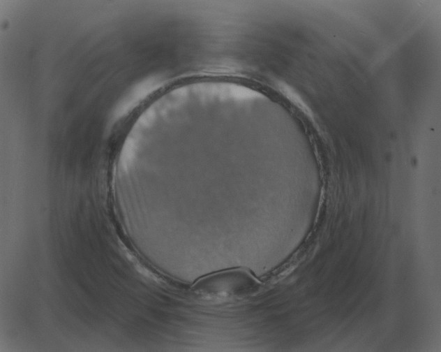 X0000087411456200705181345