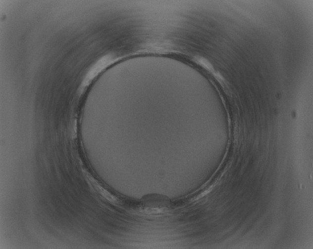 X0000087411459200705181345