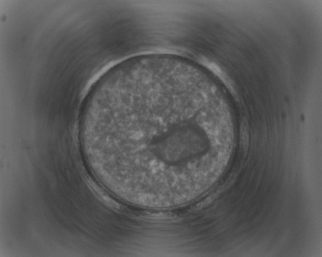 X0000087411460200705181345