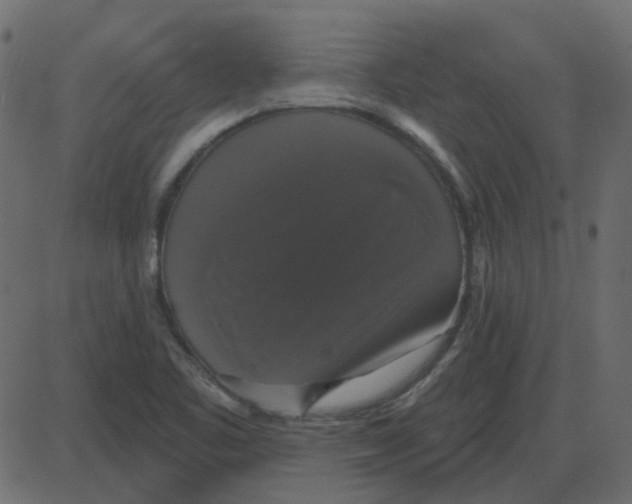 X0000087411461200705181345