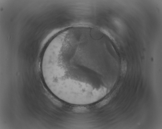 X0000087411462200705181345