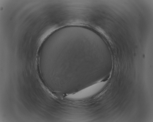 X0000087411463200705181345