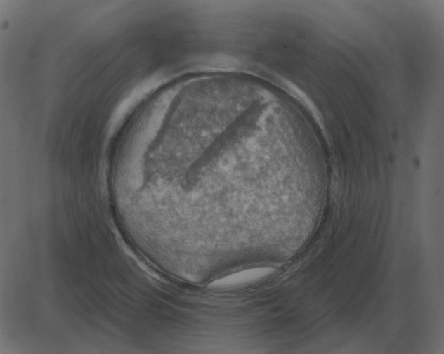 X0000087411464200705181345