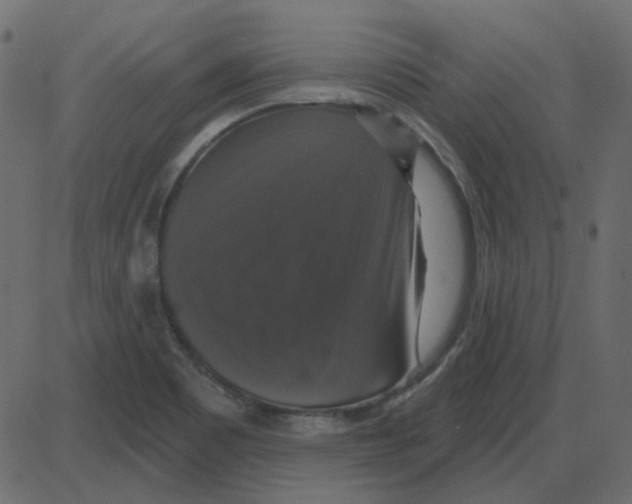 X0000087411465200705181345