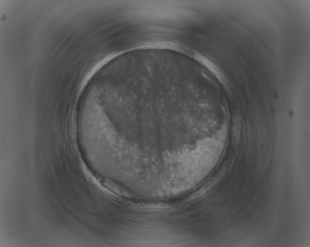 X0000087411468200705181345