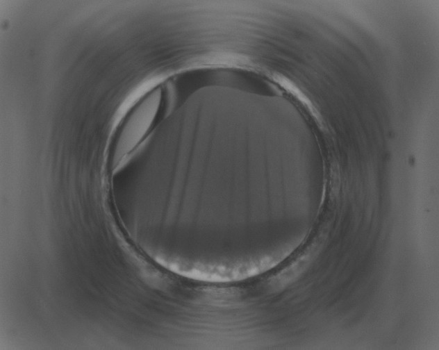 X0000087411469200705181345