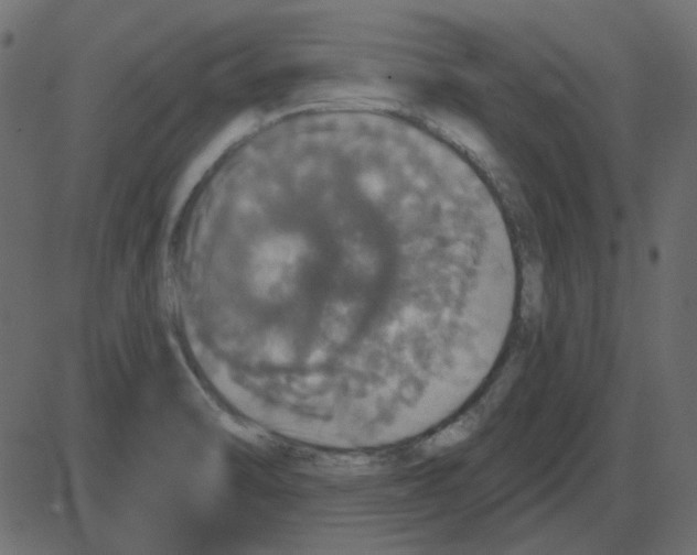 X0000087411470200705181345