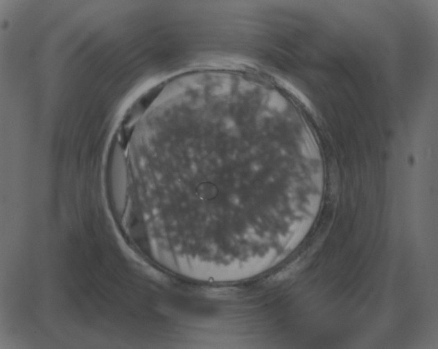 X0000087411471200705181345