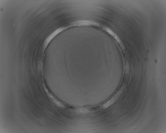 X0000087411473200705181345