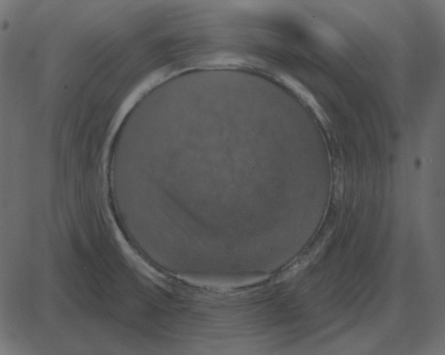 X0000087411475200705181345