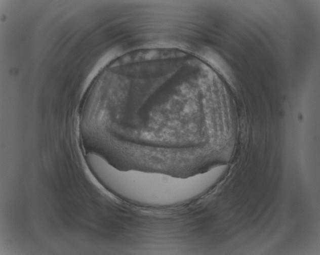 X0000087411476200705181345