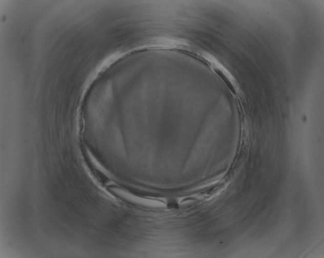 X0000087411477200705181345