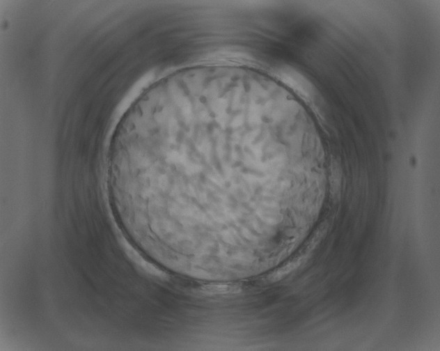 X0000087411478200705181345