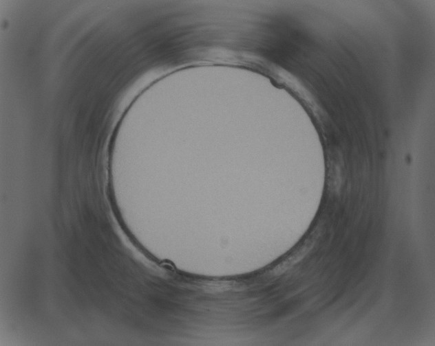 X0000087411479200705181345