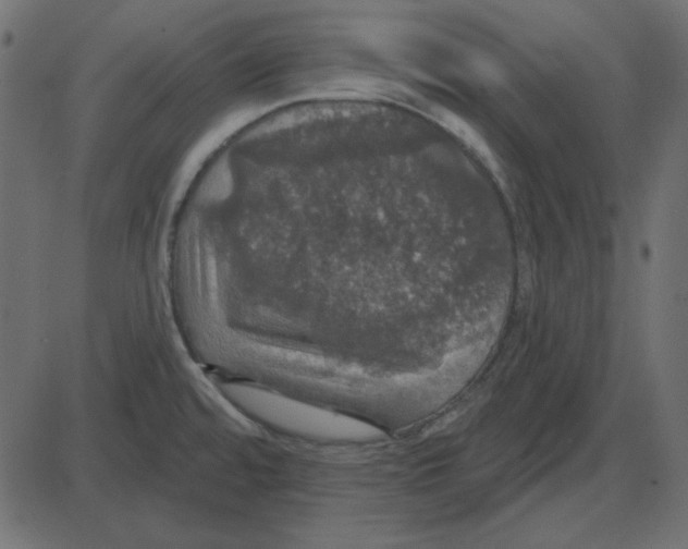 X0000087411480200705181345