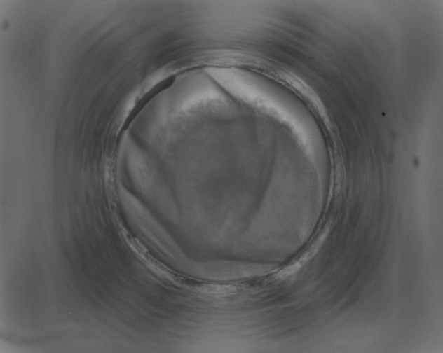 X0000087411481200705181345