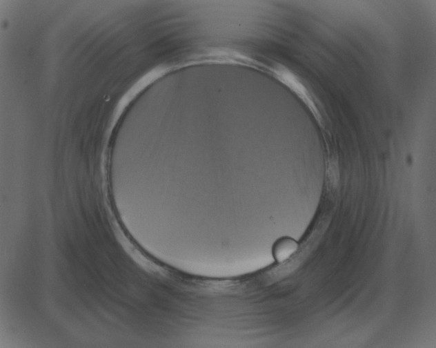 X0000087411482200705181345