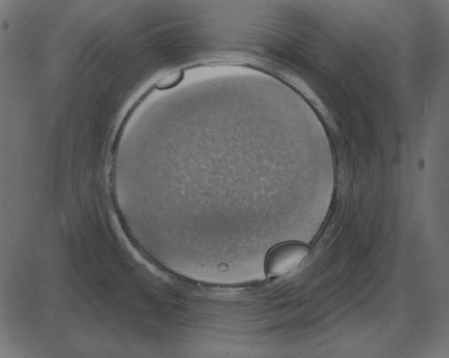 X0000087411484200705181345