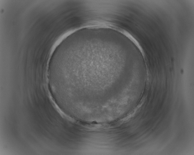 X0000087411485200705181345