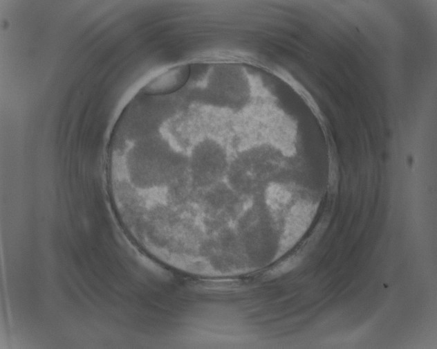 X0000087411486200705181345