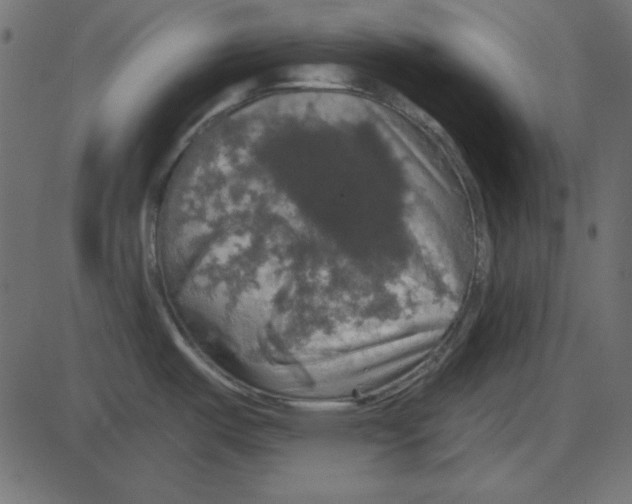 X0000087411487200705181345